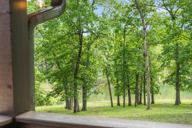 26 Cave Ln Unit 10, Indian Point, MO 65616 - detailed view