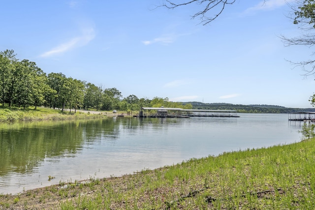 26 Cave Ln Unit 10, Indian Point, MO 65616 - water view