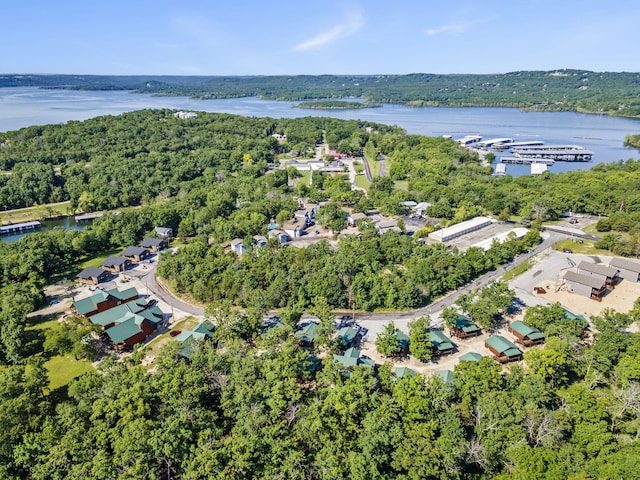 26 Cave Ln Unit 10, Indian Point, MO 65616 - aerial view of property's location featuring a nearby body of water and a heavily wooded area