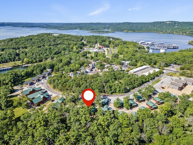 26 Cave Ln Unit 10, Indian Point, MO 65616 - aerial overview of property's location featuring a large body of water and a forest