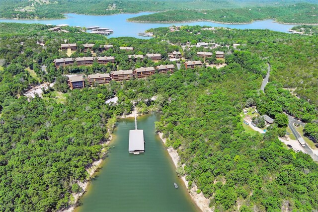 24 Village Trl Unit 13-2, Branson, MO 65616 - bird's eye view of a forest and a nearby body of water