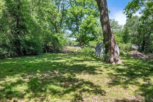 741 N Warren Ave, Springfield, MO 65802 - view of yard