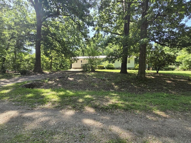 54 Skyline Dr, Williford, AR 72486 - photo 3
