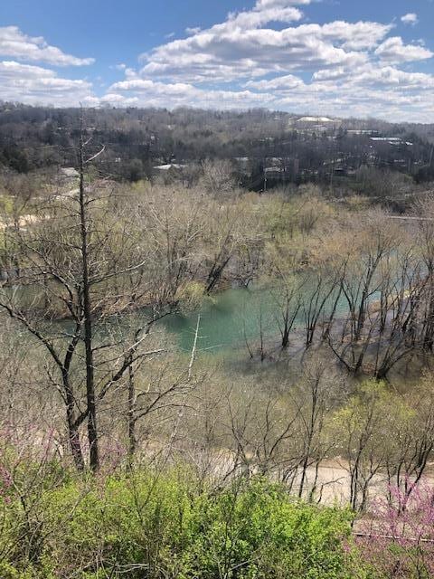 530 Taneycomo Hill Dr, Hollister, MO 65672 - water view