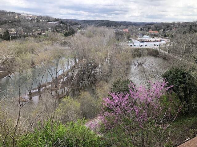 530 Taneycomo Hill Dr, Hollister, MO 65672 - drone / aerial view of a nearby body of water