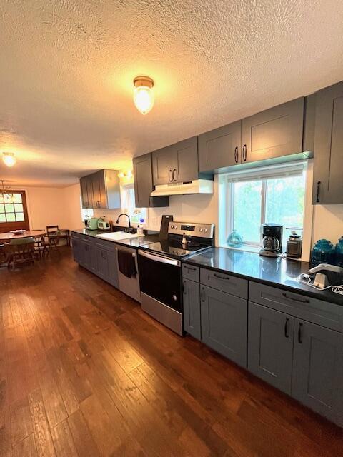 530 Taneycomo Hill Dr, Hollister, MO 65672 - kitchen featuring stainless steel appliances, under cabinet range hood, a sink, gray cabinets, and dark wood-style flooring