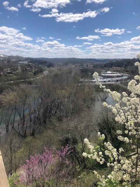 530 Taneycomo Hill Dr, Hollister, MO 65672 - bird's eye view of a large body of water