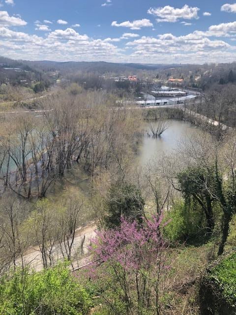 530 Taneycomo Hill Dr, Hollister, MO 65672 - bird's eye view of a large body of water