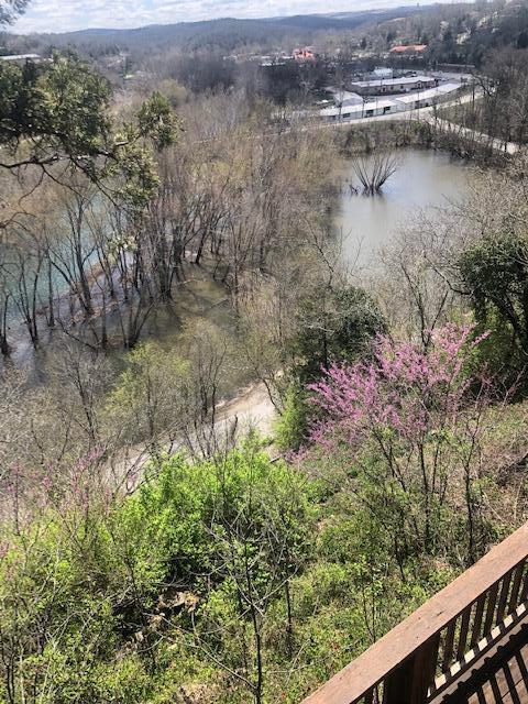 530 Taneycomo Hill Dr, Hollister, MO 65672 - water view