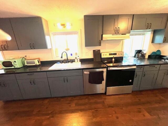 530 Taneycomo Hill Dr, Hollister, MO 65672 - kitchen with appliances with stainless steel finishes, gray cabinetry, under cabinet range hood, and a sink