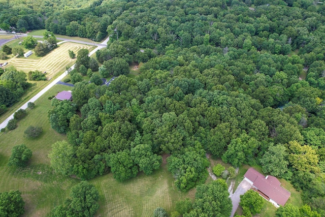 150 Licaria Rd, Ozark, MO 65721 - overview of rural landscape with a heavily wooded area