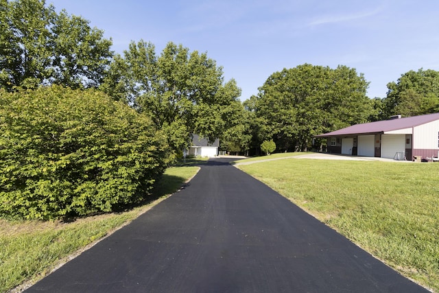 150 Licaria Rd, Ozark, MO 65721 - view of asphalt driveway
