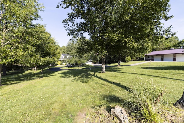 150 Licaria Rd, Ozark, MO 65721 - view of green lawn