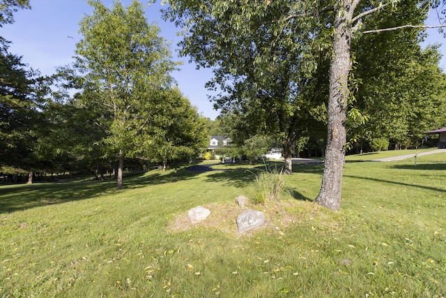 150 Licaria Rd, Ozark, MO 65721 - view of grassy yard