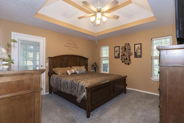150 Licaria Rd, Ozark, MO 65721 - bedroom featuring a raised ceiling, carpet flooring, multiple windows, and ceiling fan