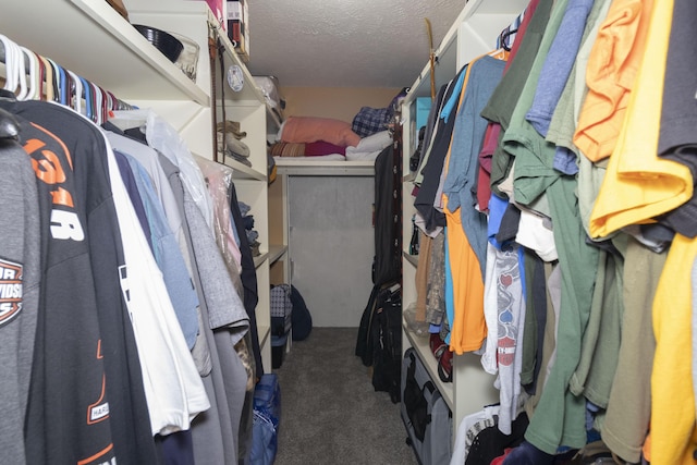 150 Licaria Rd, Ozark, MO 65721 - spacious closet featuring carpet flooring