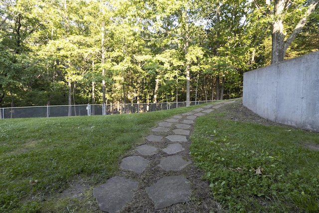 150 Licaria Rd, Ozark, MO 65721 - view of yard