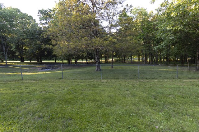 150 Licaria Rd, Ozark, MO 65721 - view of yard