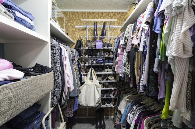 150 Licaria Rd, Ozark, MO 65721 - view of spacious closet