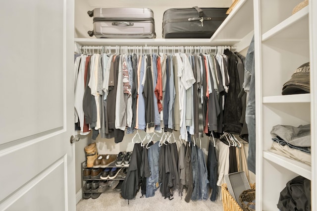 3262 S Thornridge Dr, Springfield, MO 65809 - view of walk in closet