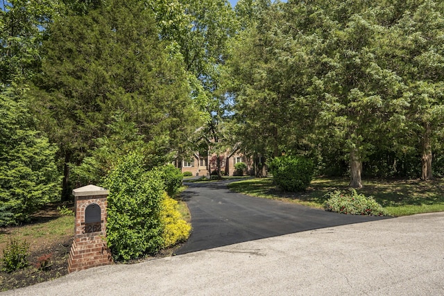 3262 S Thornridge Dr, Springfield, MO 65809 - view of asphalt driveway