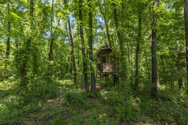 3262 S Thornridge Dr, Springfield, MO 65809 - view of undeveloped land