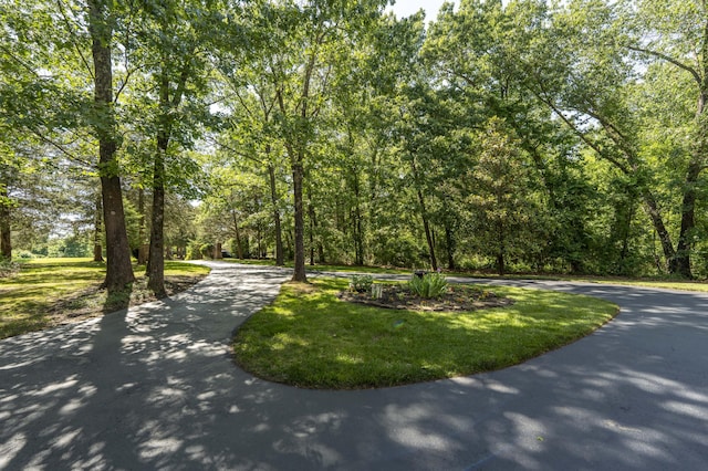 3262 S Thornridge Dr, Springfield, MO 65809 - view of home's community with curved driveway and a wooded view