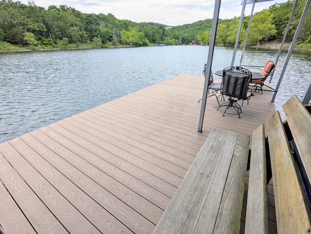 1649 Talking Rocks Rd, Branson West, MO 65737 - photo 41