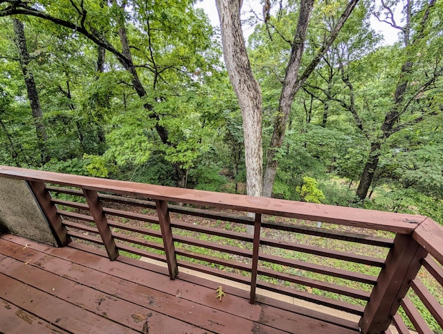 1649 Talking Rocks Rd, Branson West, MO 65737 - photo 73