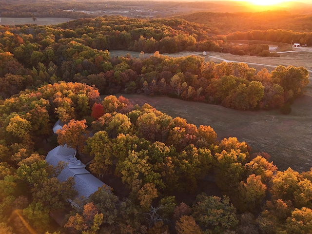 607 Sumac Ln, Marshfield, MO 65706 - bird's eye view of a heavily wooded area