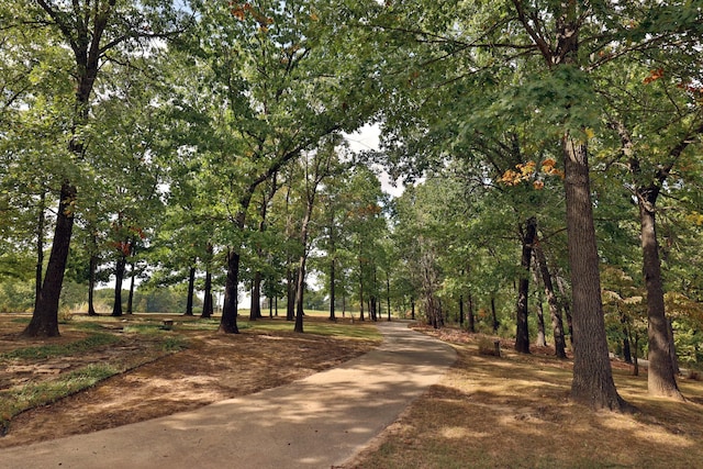 607 Sumac Ln, Marshfield, MO 65706 - view of home's community