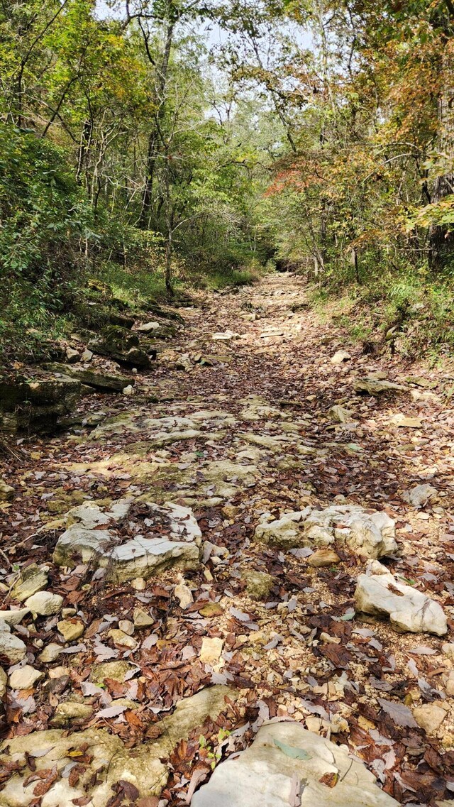 607 Sumac Ln, Marshfield, MO 65706 - view of wooded area