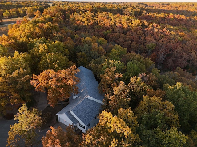 607 Sumac Ln, Marshfield, MO 65706 - view of subject property with a heavily wooded area