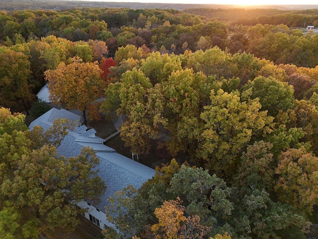 607 Sumac Ln, Marshfield, MO 65706 - view of subject property featuring a heavily wooded area