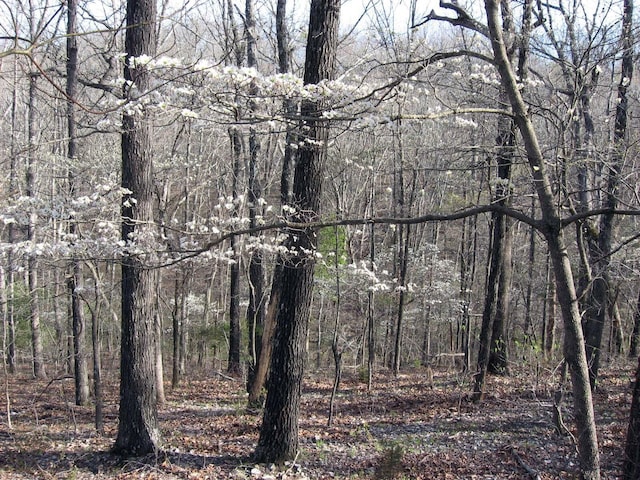 607 Sumac Ln, Marshfield, MO 65706 - view of wooded area