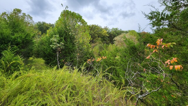 607 Sumac Ln, Marshfield, MO 65706 - view of woods