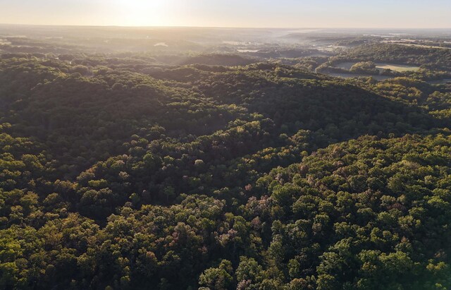 607 Sumac Ln, Marshfield, MO 65706 - aerial view of a heavily wooded area