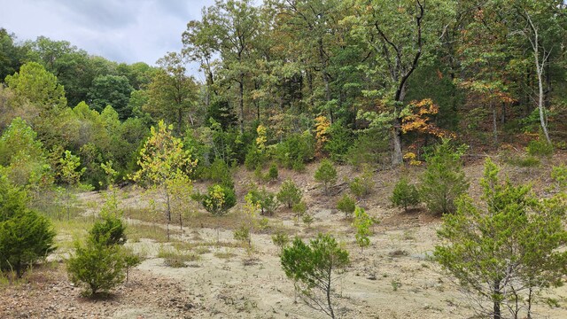 607 Sumac Ln, Marshfield, MO 65706 - view of woods