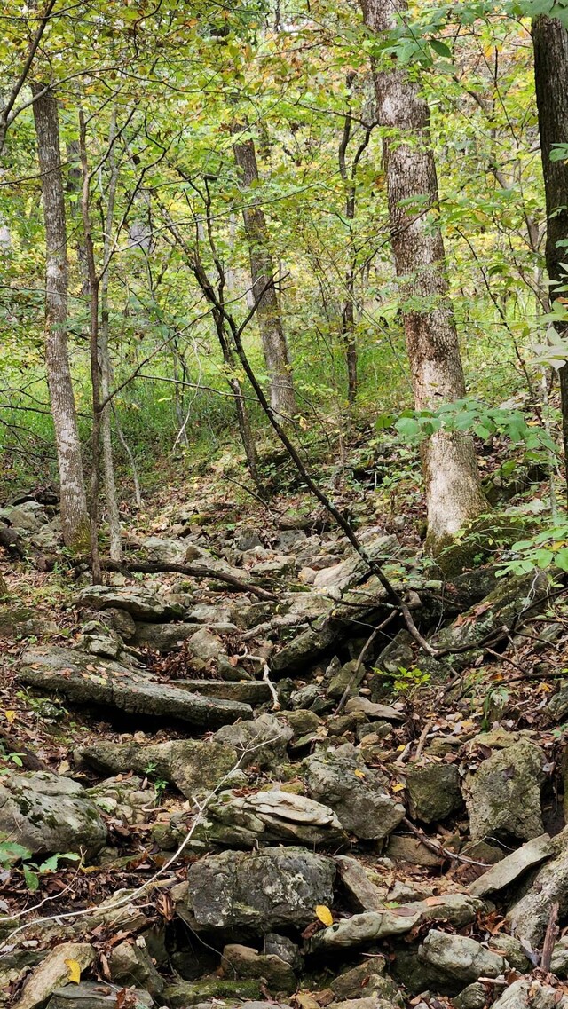 607 Sumac Ln, Marshfield, MO 65706 - view of wooded area