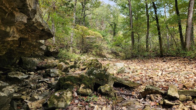 607 Sumac Ln, Marshfield, MO 65706 - view of woods