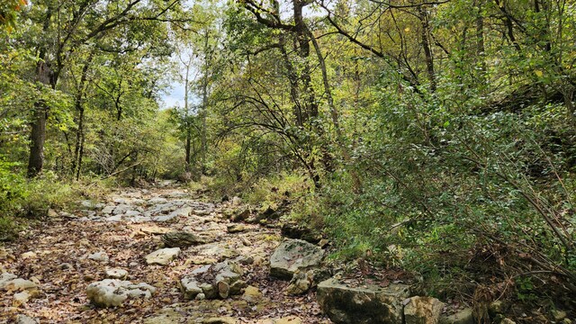 607 Sumac Ln, Marshfield, MO 65706 - view of woods