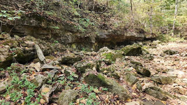 607 Sumac Ln, Marshfield, MO 65706 - view of undeveloped land