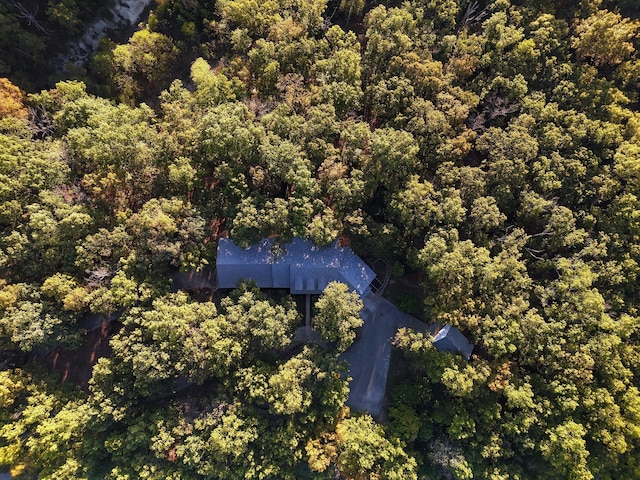 607 Sumac Ln, Marshfield, MO 65706 - view of subject property with a forest