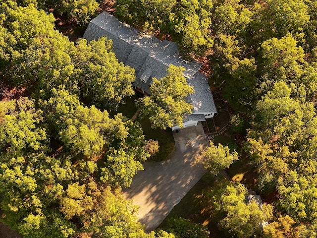 607 Sumac Ln, Marshfield, MO 65706 - view of subject property with a heavily wooded area