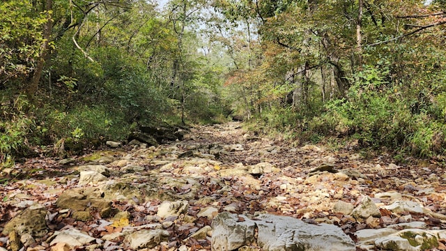 607 Sumac Ln, Marshfield, MO 65706 - view of woods