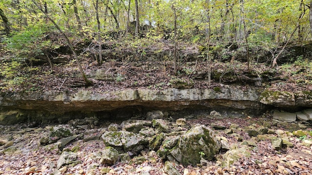 607 Sumac Ln, Marshfield, MO 65706 - view of tree filled area