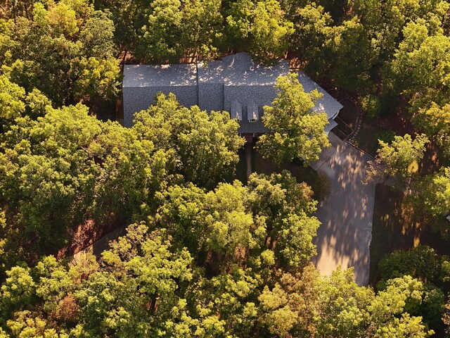607 Sumac Ln, Marshfield, MO 65706 - view from above of property with a forest