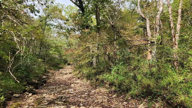 607 Sumac Ln, Marshfield, MO 65706 - view of woods