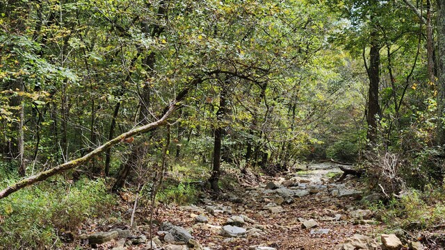 607 Sumac Ln, Marshfield, MO 65706 - view of woods