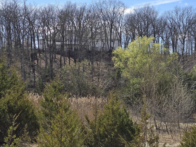 607 Sumac Ln, Marshfield, MO 65706 - view of tree filled area